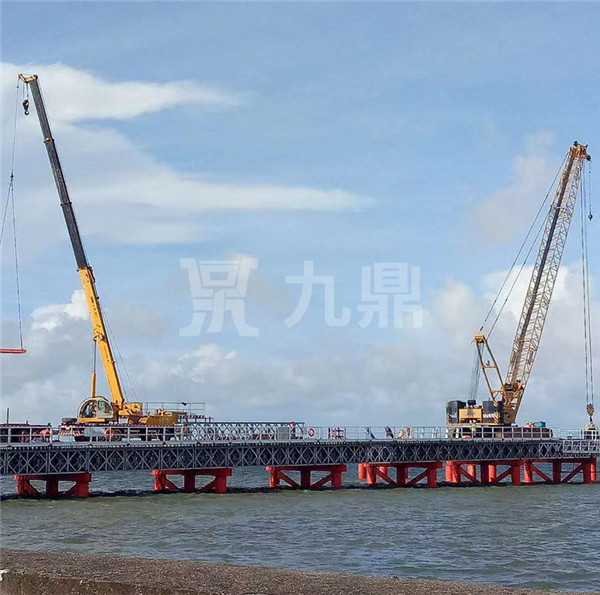大菠萝福利软件荷載限製標準