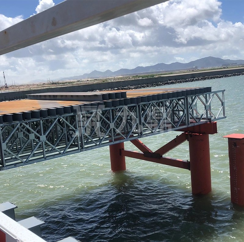 大菠萝福利软件